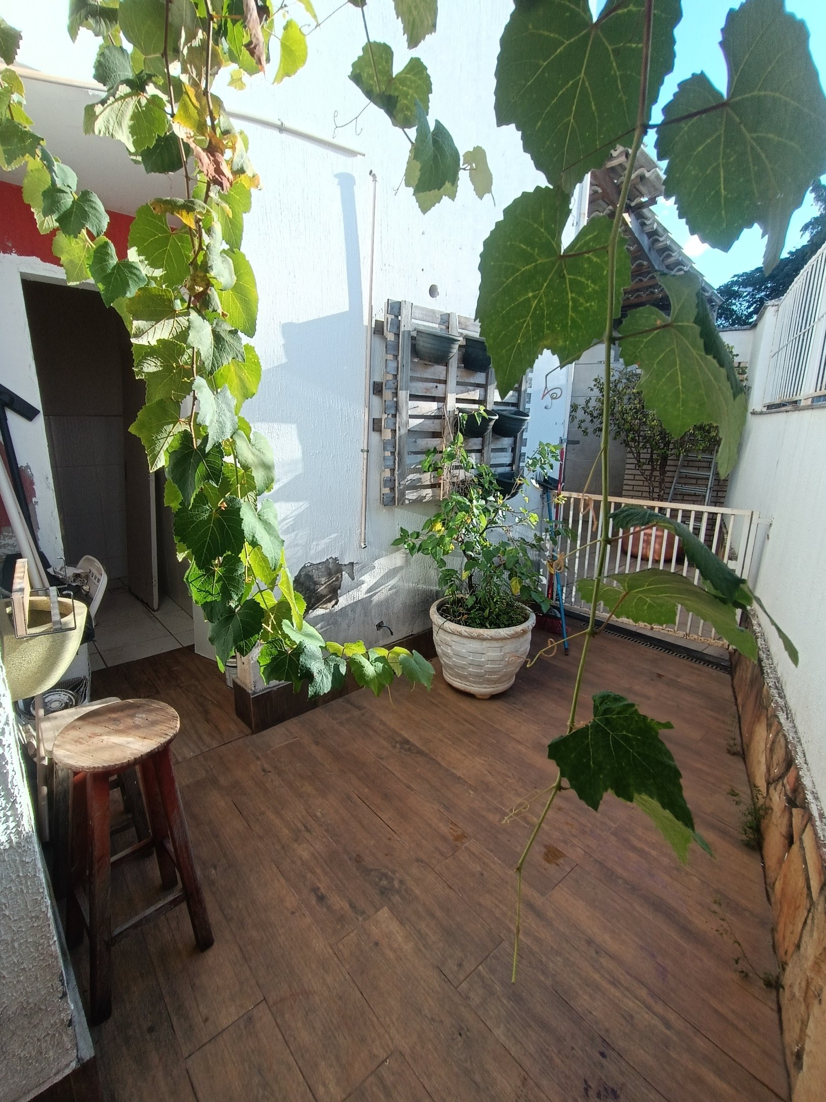 1747956394325-dOqZPnOgoXToEql1