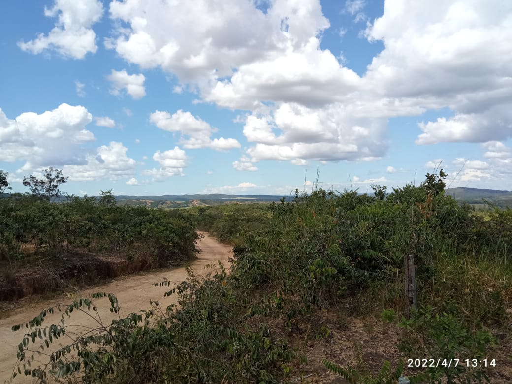 WhatsApp Image 2026-03-04 at 18.28.2