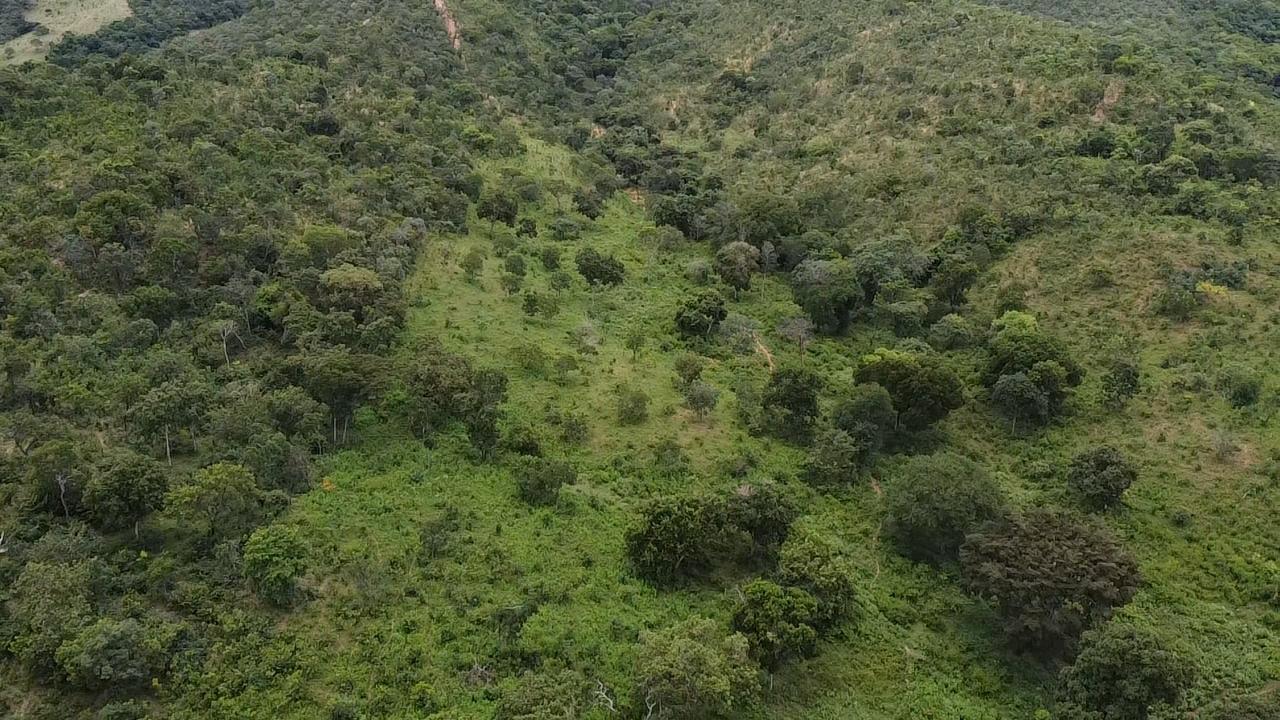 WhatsApp Image 2026-03-04 at 21.35.04