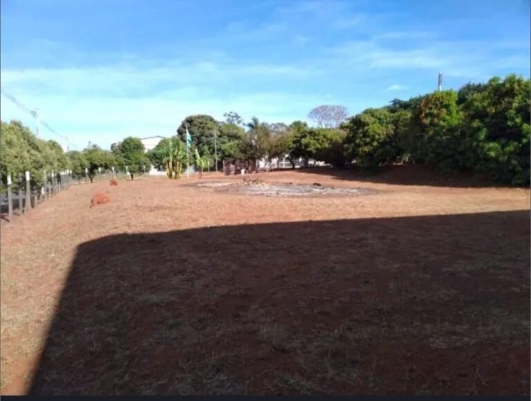 WhatsApp Image 2026-03-04 at 22.44.07(1)