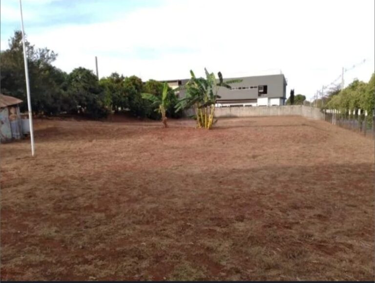 WhatsApp Image 2026-03-04 at 22.44.07(2)