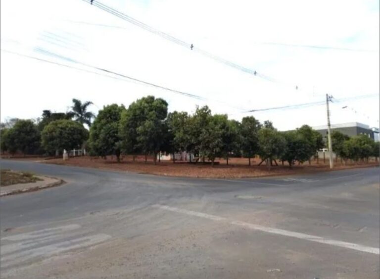 WhatsApp Image 2026-03-04 at 22.44.08(4)