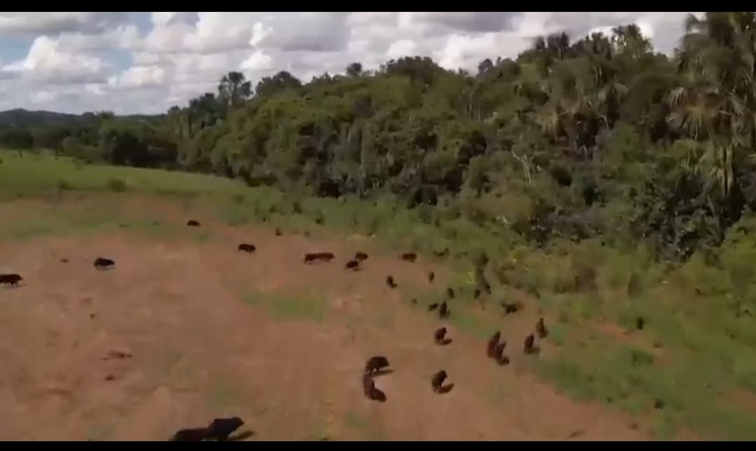 WhatsApp Image 2026-03-05 at 17.48.03