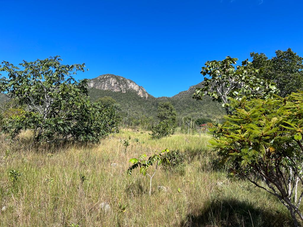 WhatsApp Image 2026-03-05 at 18.07.33