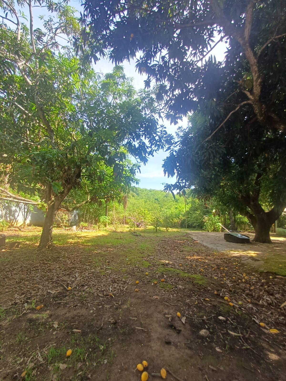 WhatsApp Image 2026-03-06 at 13.16.13